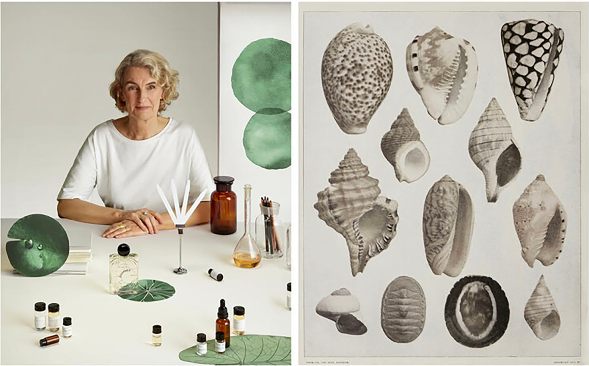 site-vignettes-1920x-3-copie