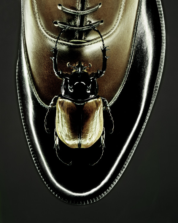 rhino-shoe