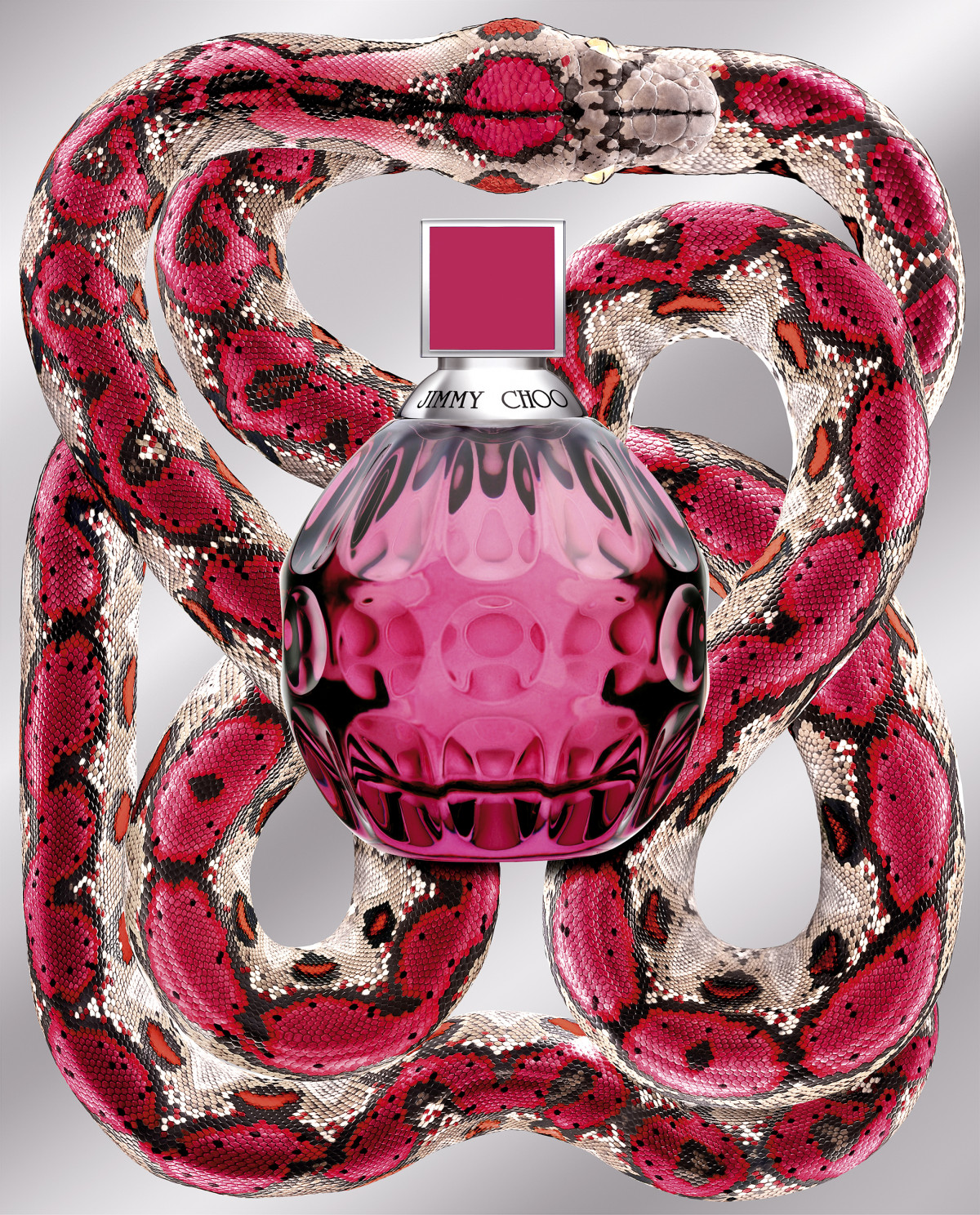 jimmy-choo-mag-print