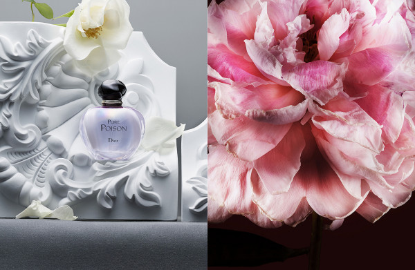 110304-glint-mag-pg1-2