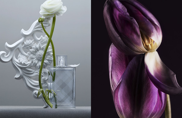 kenji_-200302_150dpi_5-6