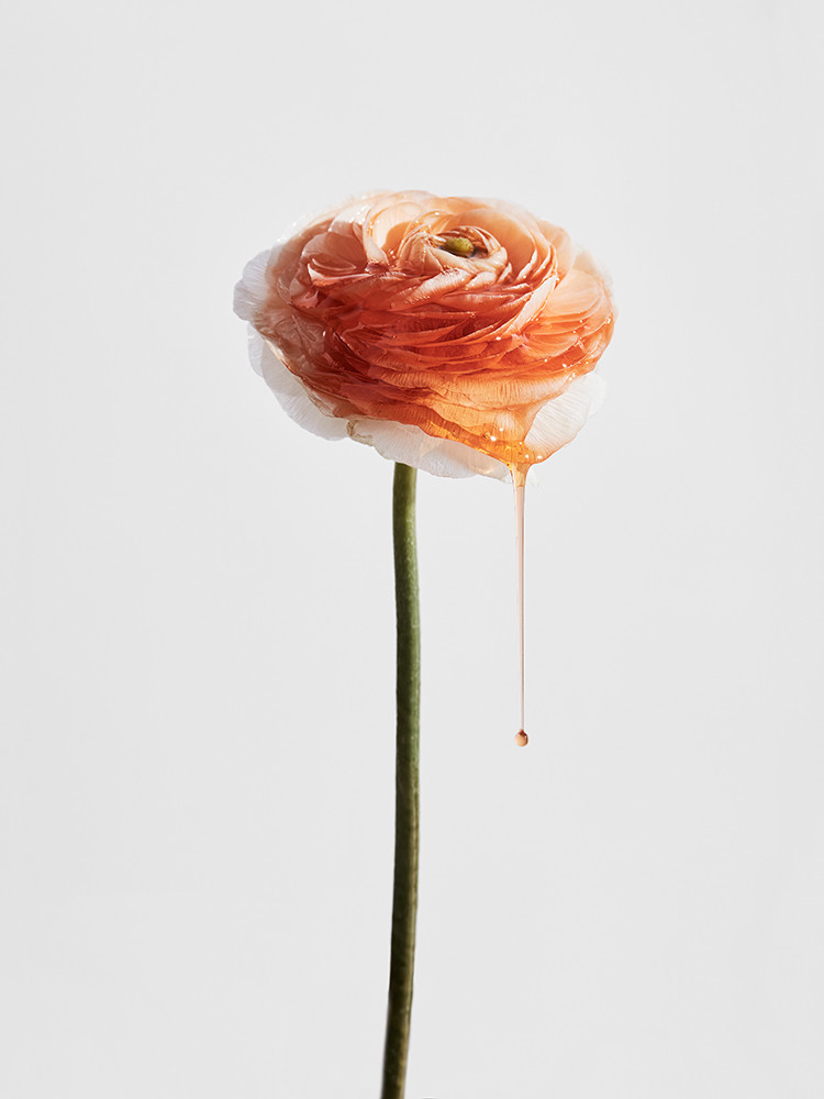 untitled-session6276