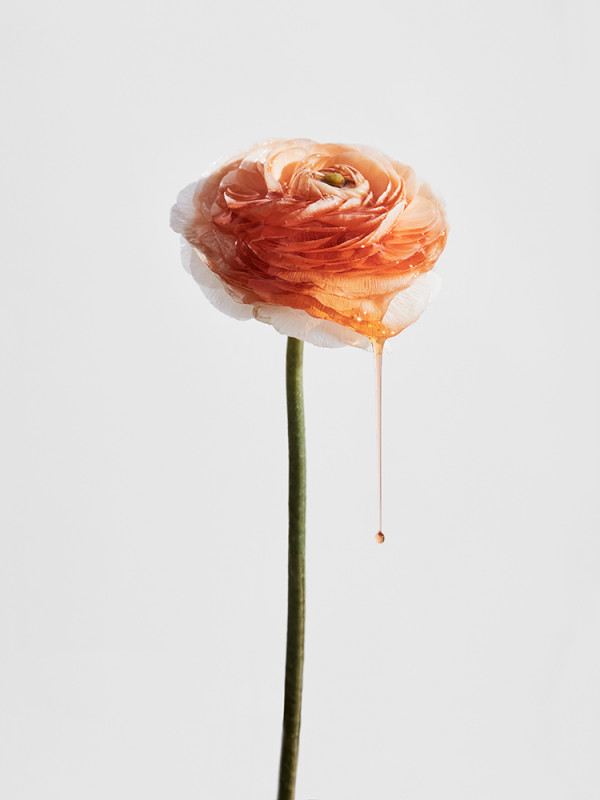 untitled-session6276