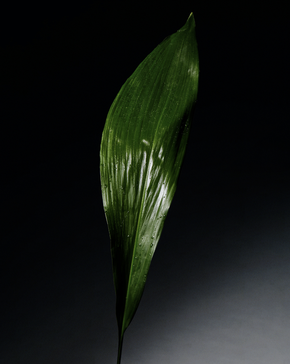 screenshot-2024-01-23-at-11.01.04