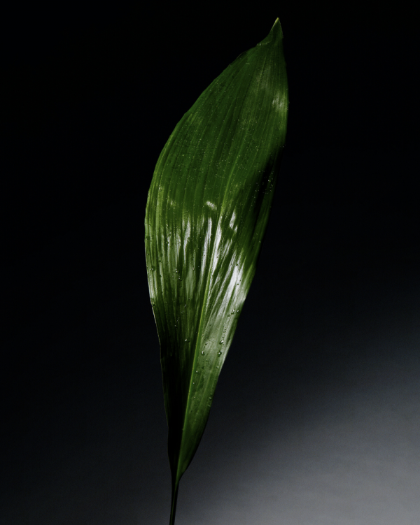 screenshot-2024-01-23-at-11.01.04